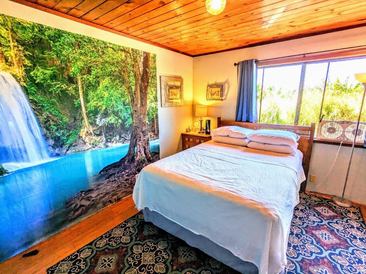 Hamakua Guesthouse Pepeekeo Екстер'єр фото