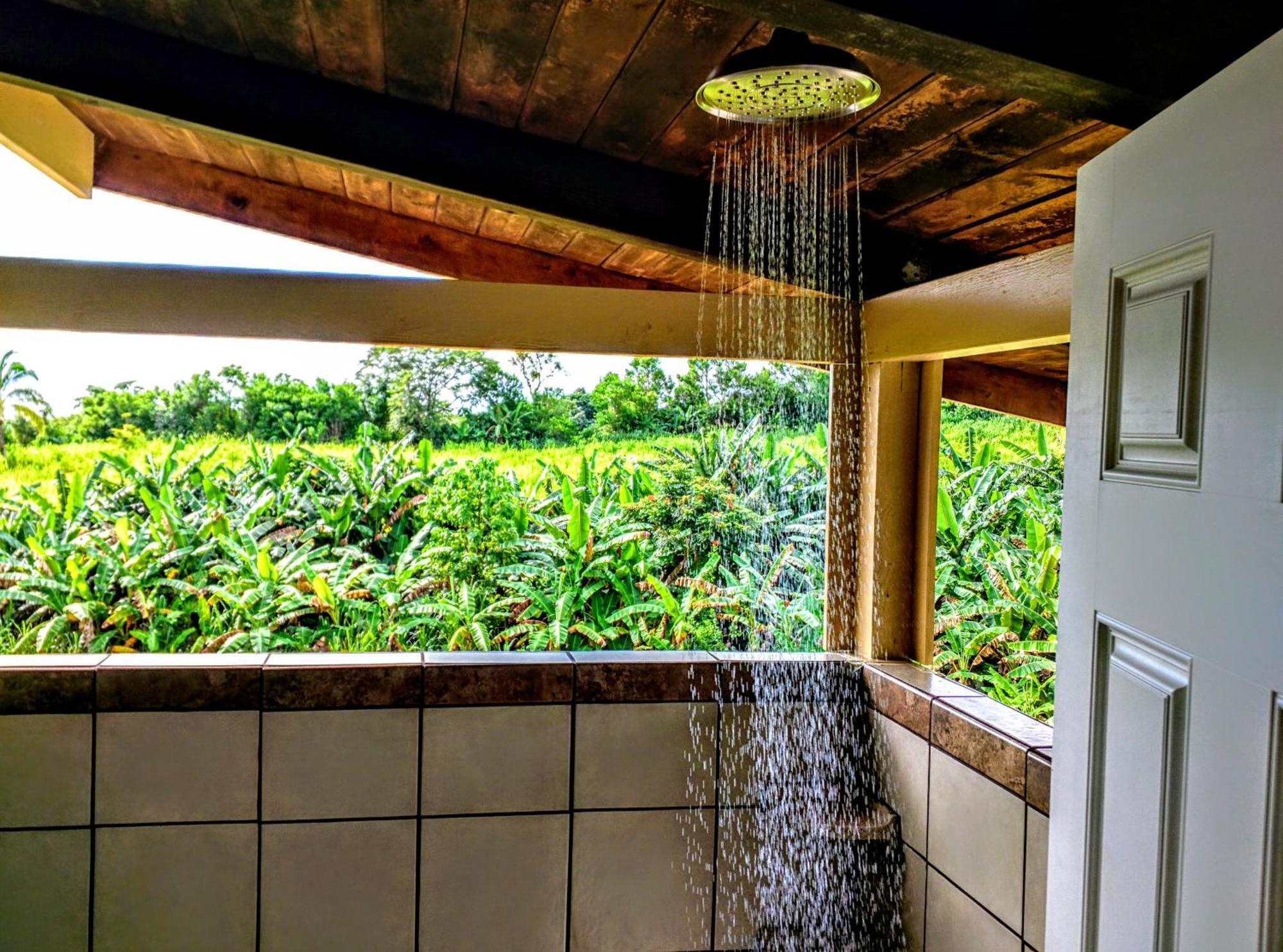 Hamakua Guesthouse Pepeekeo Екстер'єр фото